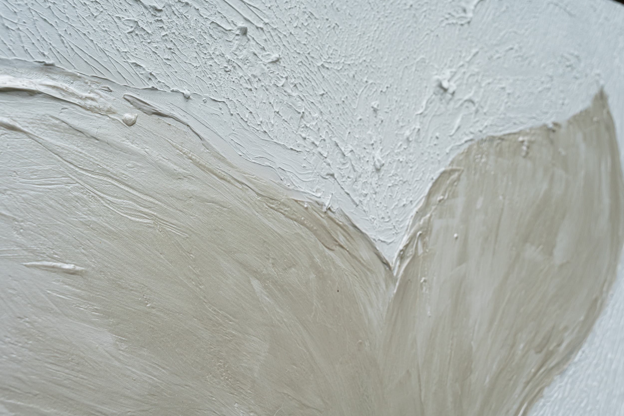 Cola de Ballena — installed view