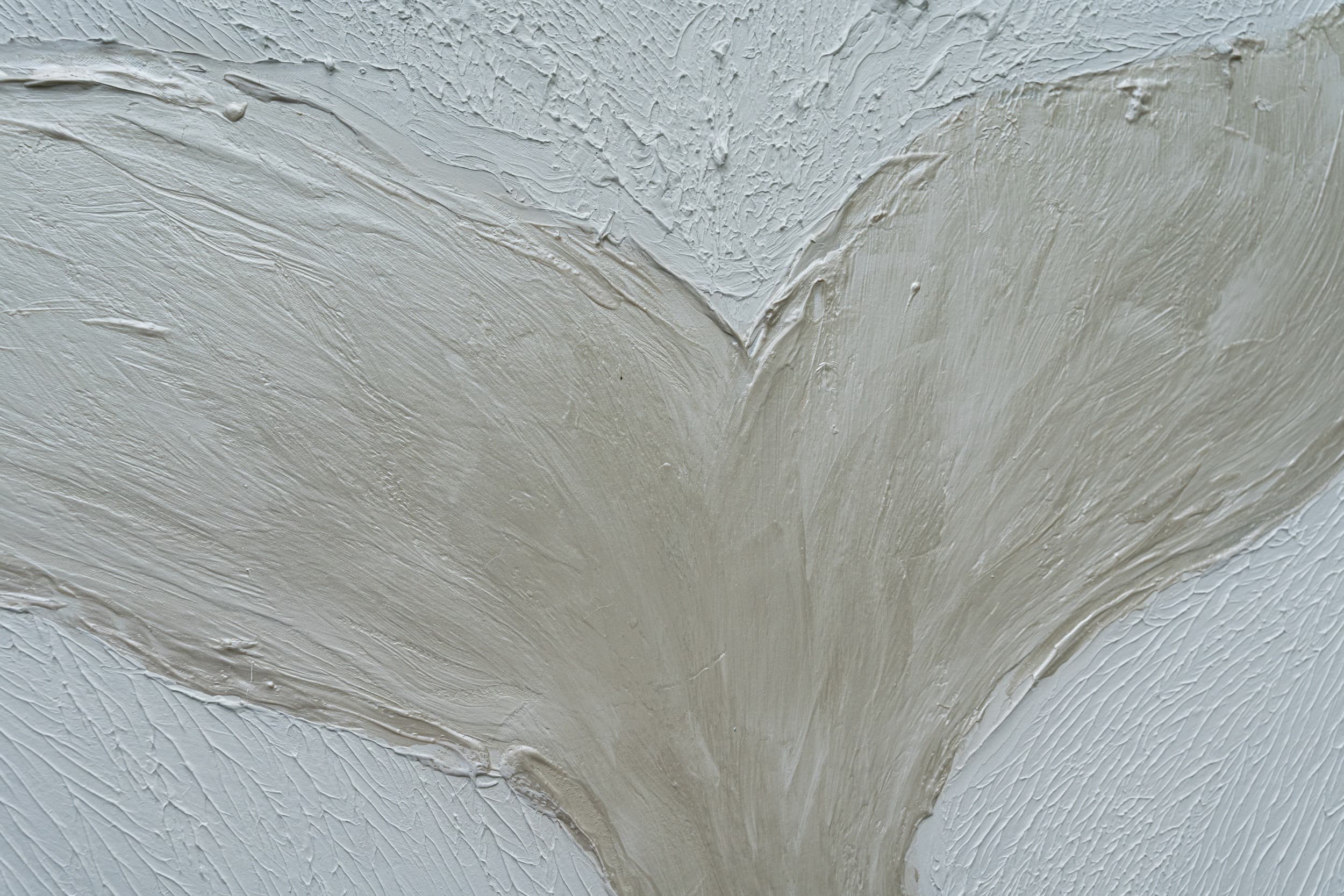 Cola de Ballena — texture detail