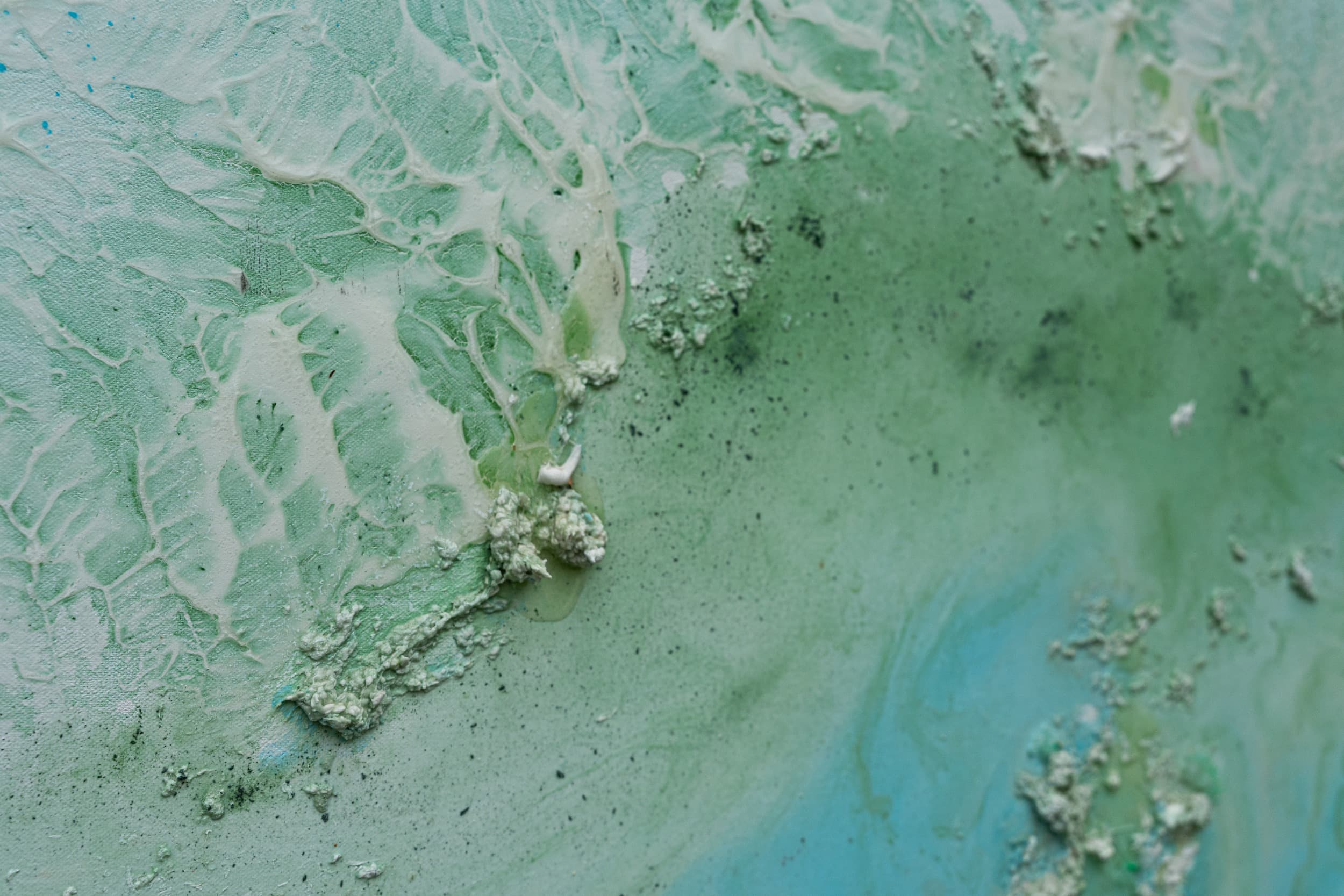 Rio Celeste — installed view