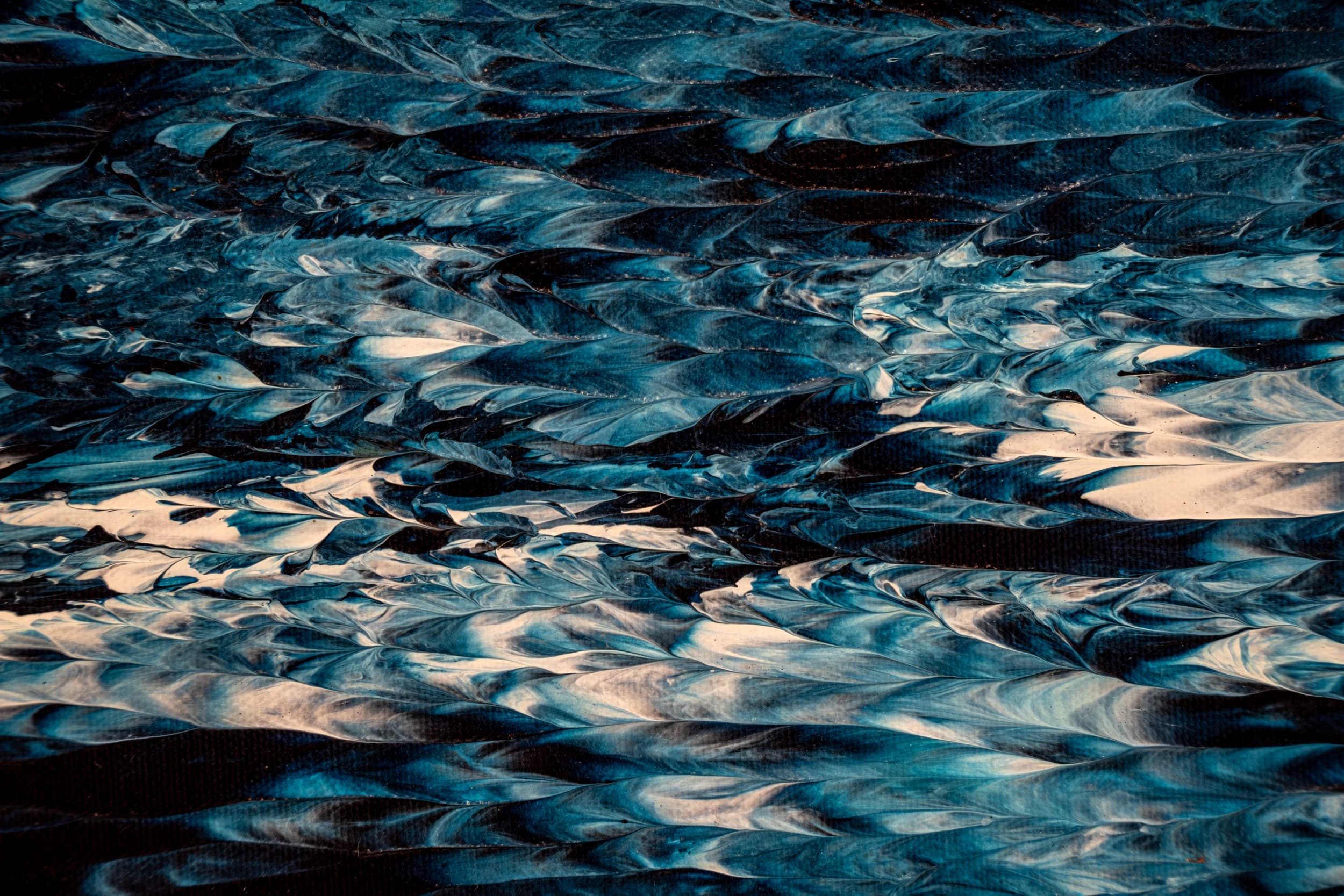 serie avellanas — installed view